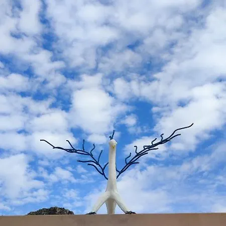 Nu Spirit فيلة